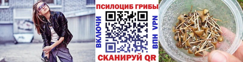 где продают   Ярославль  Галлюциногенные грибы мицелий 